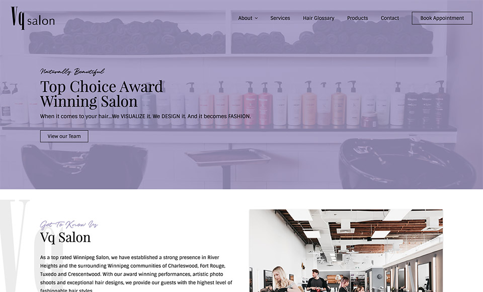 Featured image for “VQ Salon”